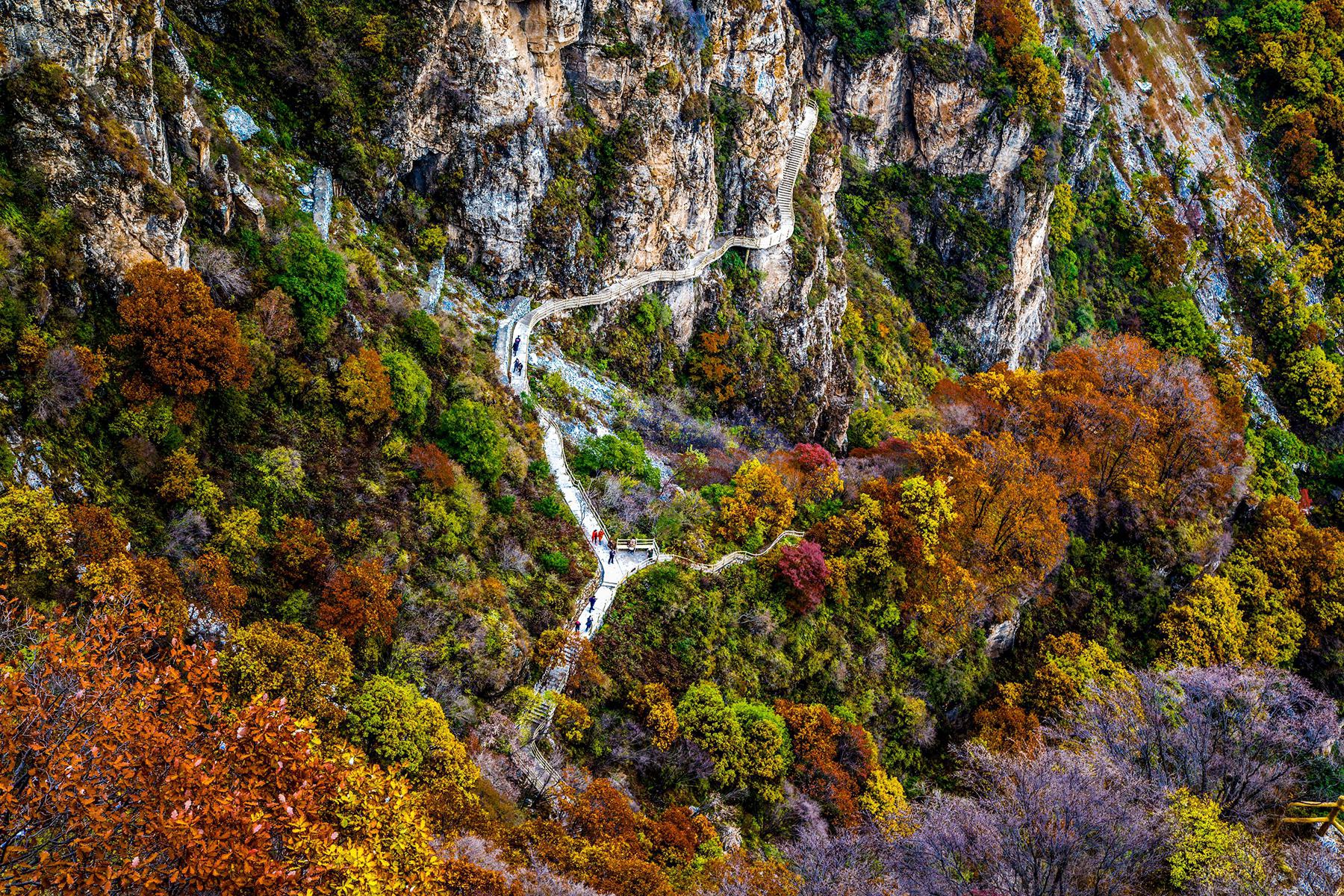 来这宝藏景点赏秋景看红叶,离北京车程仅3小时|红桦林|红叶|秋景_新浪