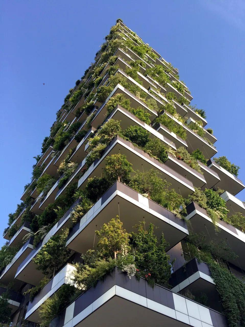 未来的房子,一半水泥一半森林,你想住吗?|植物|阳台|森林_新浪新闻