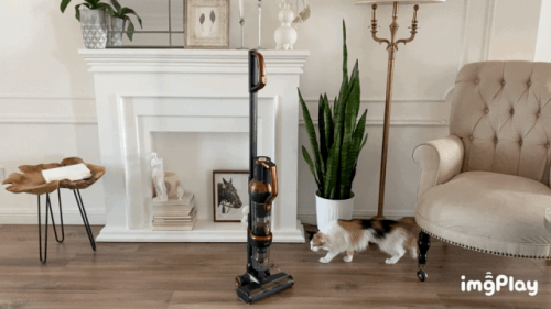 猫毛满屋飞,快来接受我这份良心种草—莱克立式吸尘器m12max