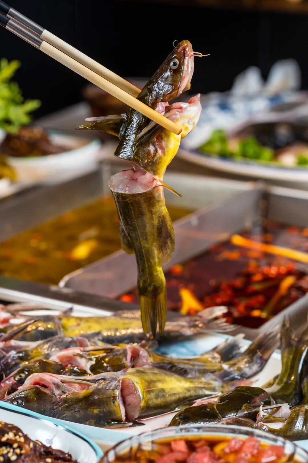 没搞错吧我花了9块9吃了一顿鱼火锅