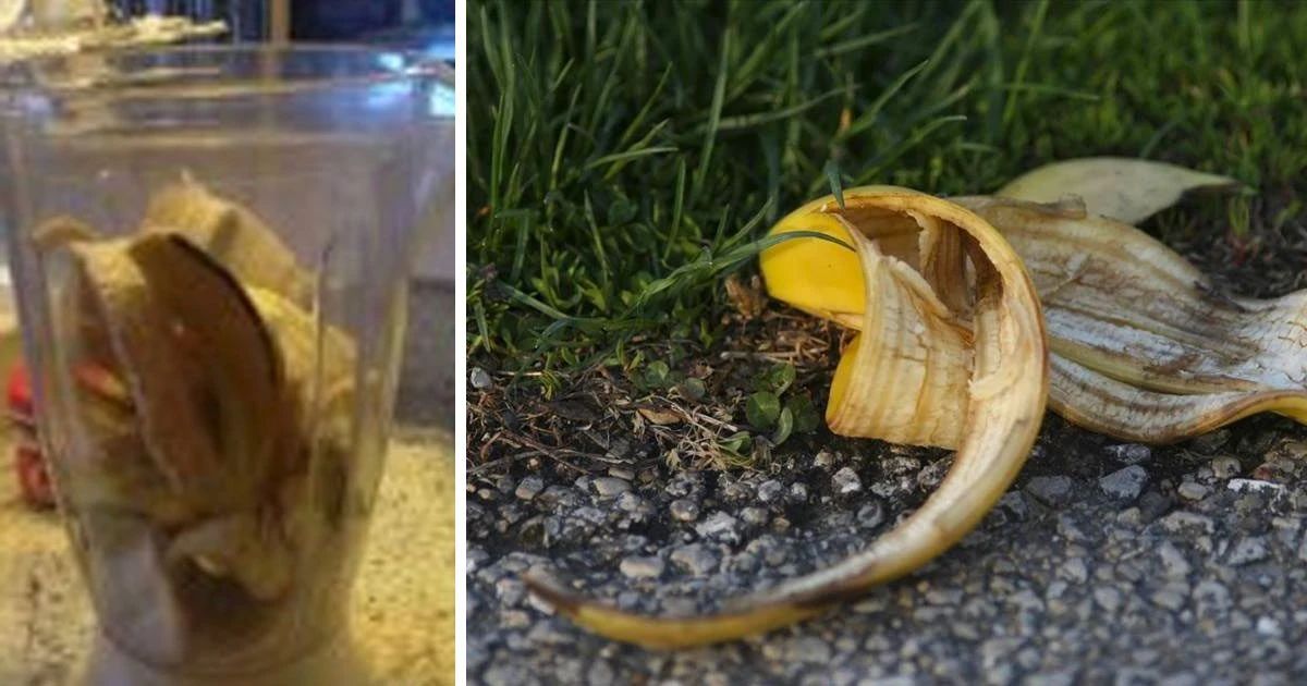 香蕉皮制作有机钾肥无臭快速一个月完成备上个塑料瓶即可