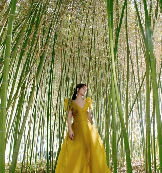 杨紫身着一袭芥黄礼服长裙出席百花奖,今天也是仙女紫