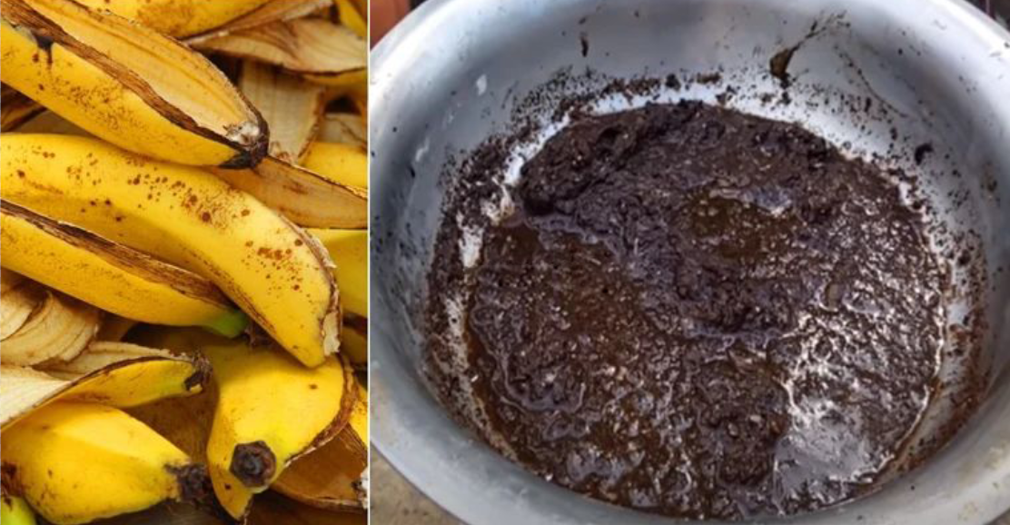 香蕉皮制作有机钾肥无臭快速一个月完成备上个塑料瓶即可