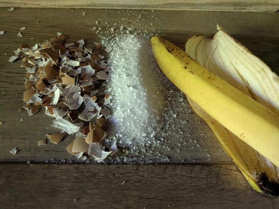 香蕉皮制作有机钾肥无臭快速一个月完成备上个塑料瓶即可