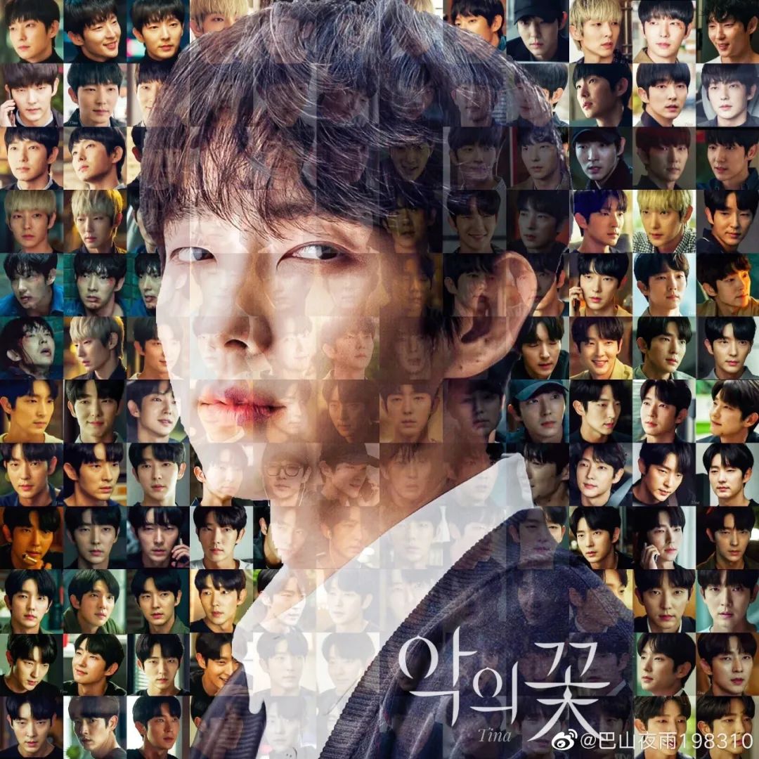 年度韩剧收官为什么大家都爱恶之花