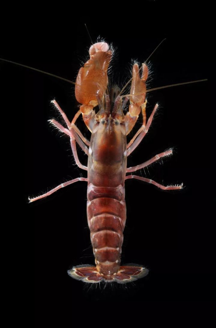 肥皂泡破裂瞬间,温度竟高过太阳温度几倍,它究竟是种什么存在?