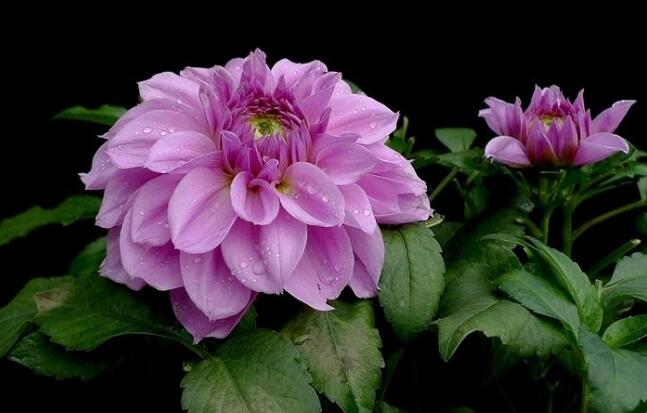 暗区突围开挂的软件透视物资