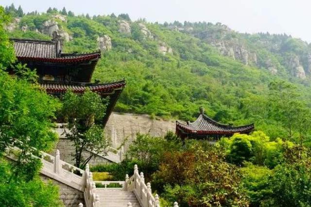 因形似一物得名,票价30为"遛娃"好去处|龟山风景区|枣庄|龟山_新浪