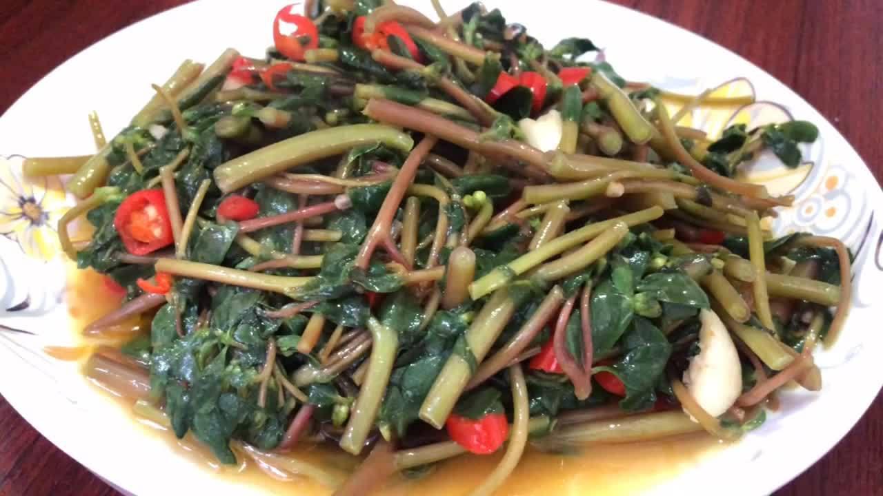 农村野菜马齿苋你们吃过吗?开胃下饭的一道美味佳肴