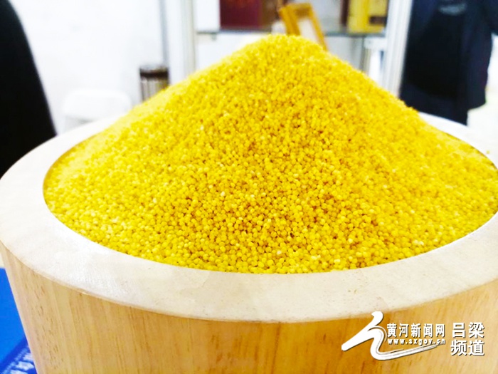 cmf第四届中国小米产业发展大会在汾阳开幕