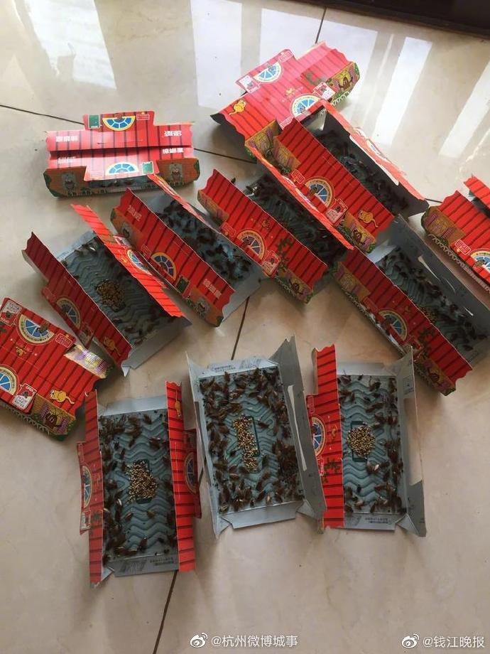 买江景房堆垃圾致蟑螂乱窜 邻居崩溃了 房主:你们爱咋搞咋搞