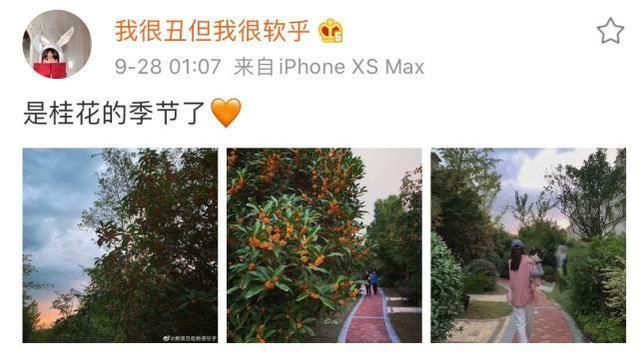 张子萱带孩子看桂花,安安光腿穿裙子,小女儿被阿姨抱着休闲区蓝鸢梦想 - Www.slyday.coM