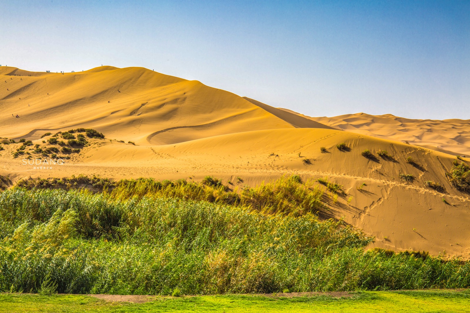 城市与沙漠,仅一线之隔,一边是大漠风光,沙潮起伏,一边是江南秀色