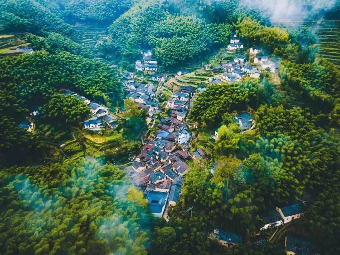 浙江丽水    松阳