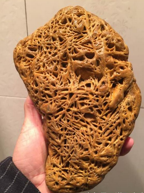 小伙野外探险,发现一块奇怪石头,回家清洗后感觉不简单