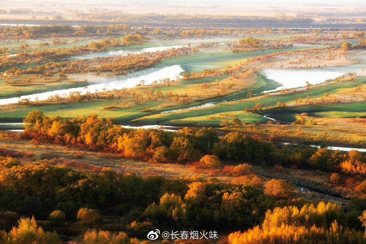 东北的秋天 是珍宝岛湿地给予的浪漫 当秋风送爽