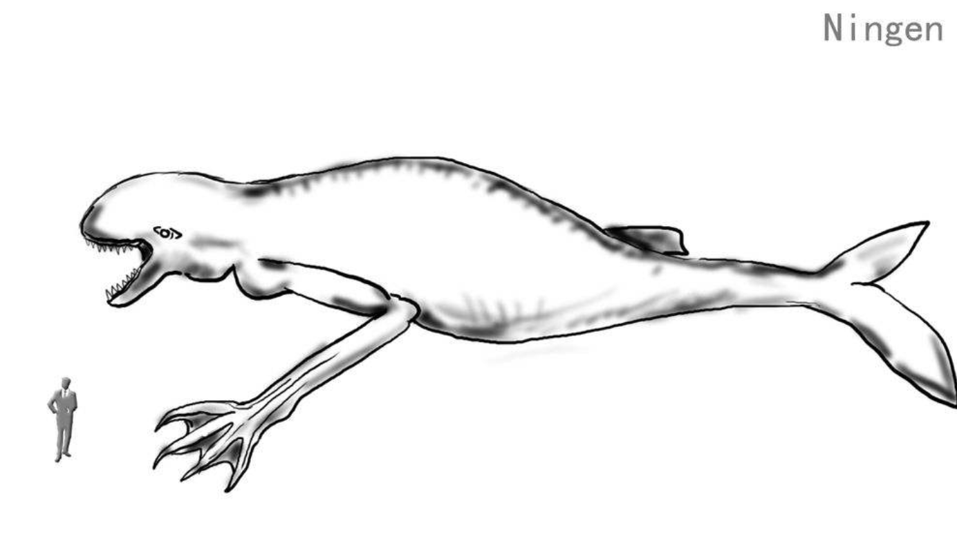 至少有30米高,南极神秘物种ningen真的存在吗?