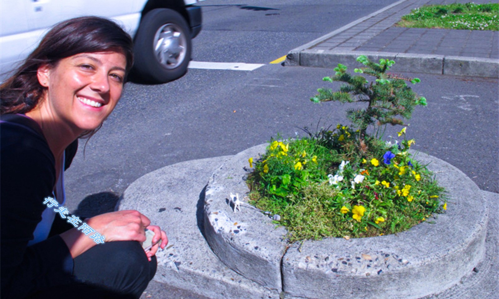 全球最小公园面积小到只能种一棵树40年里被偷上百次