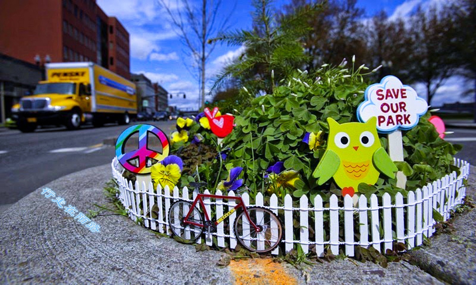 全球最小公园面积小到只能种一棵树40年里被偷上百次