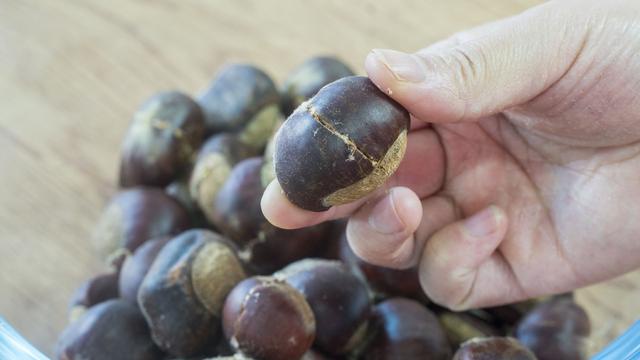 板栗好吃剥壳难，农村姑娘教你简单做法，不炒不煮，个个自动脱皮休闲区蓝鸢梦想 - Www.slyday.coM