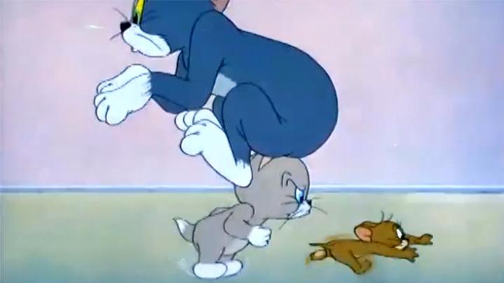 猫和老鼠:小猫咪力气真大,能扛着汤姆追老鼠,都不带喘气的