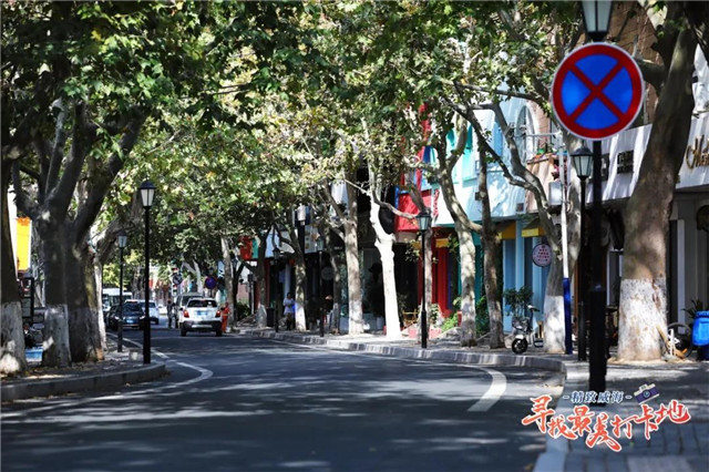 乳山|新威|蚝_新浪新闻