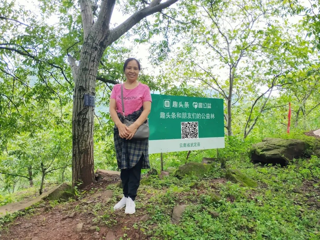 中国企业扶贫故事 趣头条"趣"种树:打着游戏就卖出万斤助农核桃