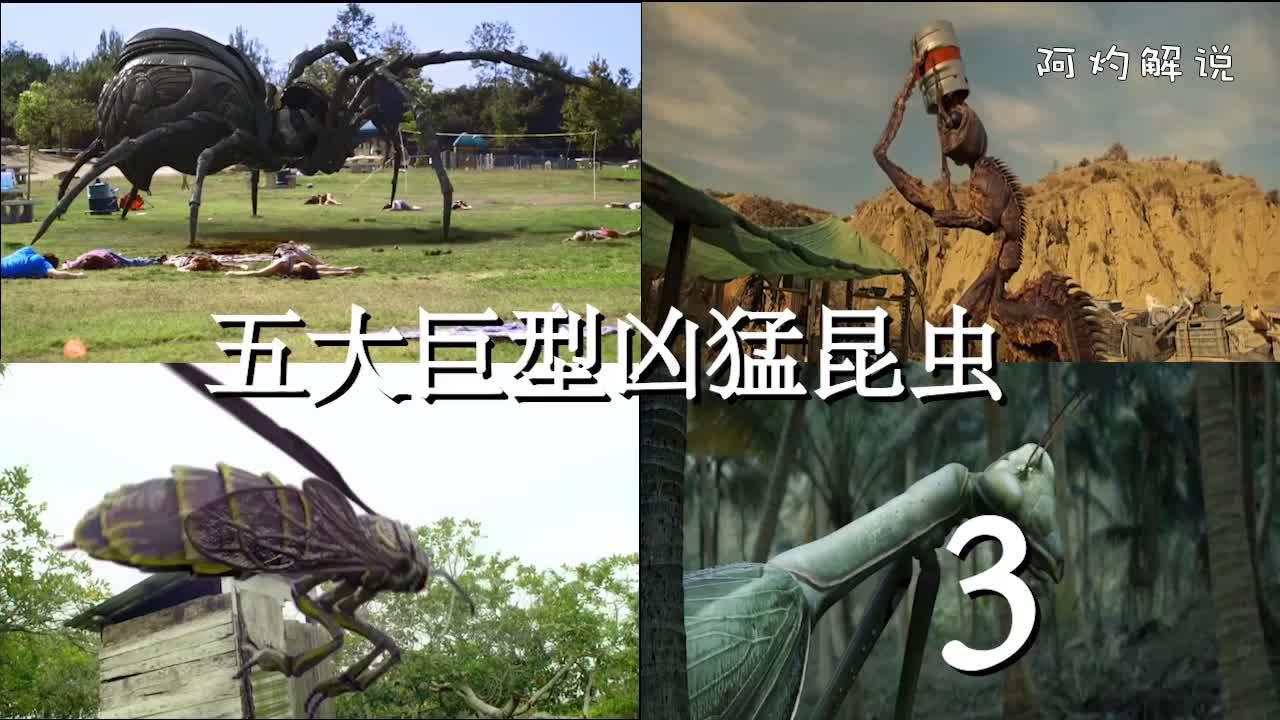 电影中的五大巨型凶猛昆虫