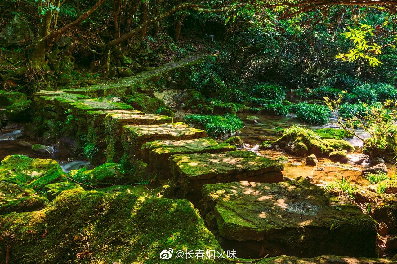 茂兰喀斯特森林