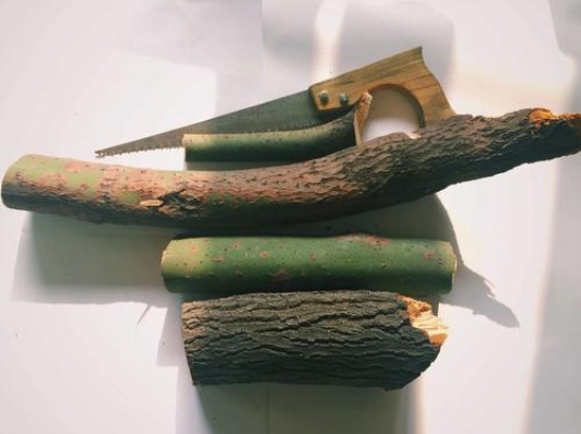 把木头融化成液体,科学家要是能做到,会改写现有物理学吗?