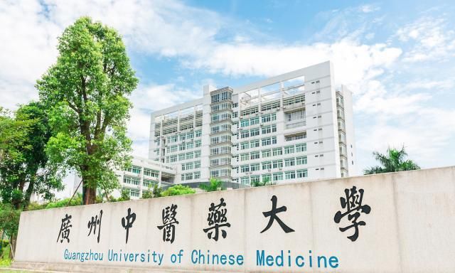 河南中医药夜市火爆出圈 郑州特色小吃有哪些