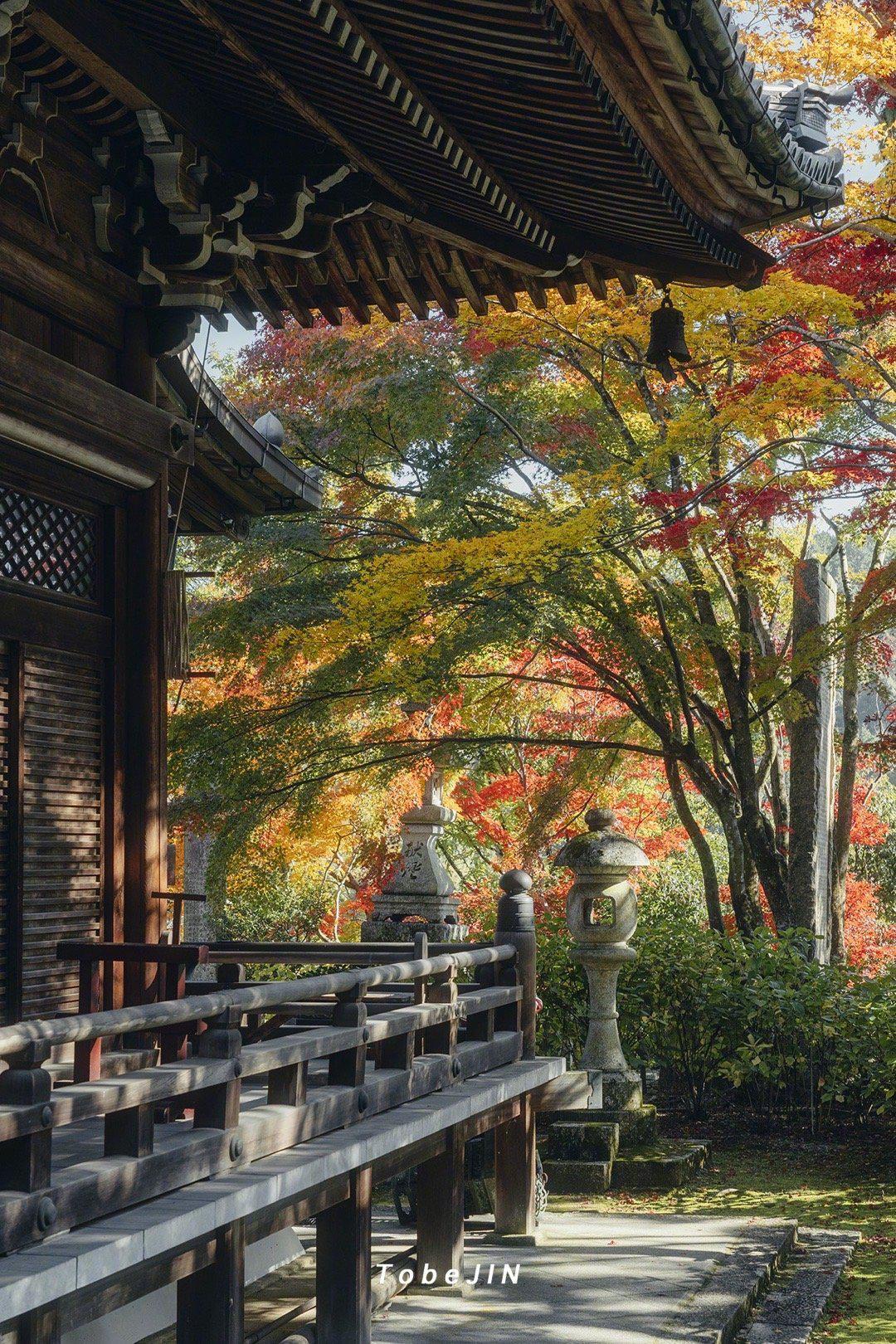 「柳谷观音 杨谷寺」是一座位于京都府长冈京市深山中的寺庙……|寺庙