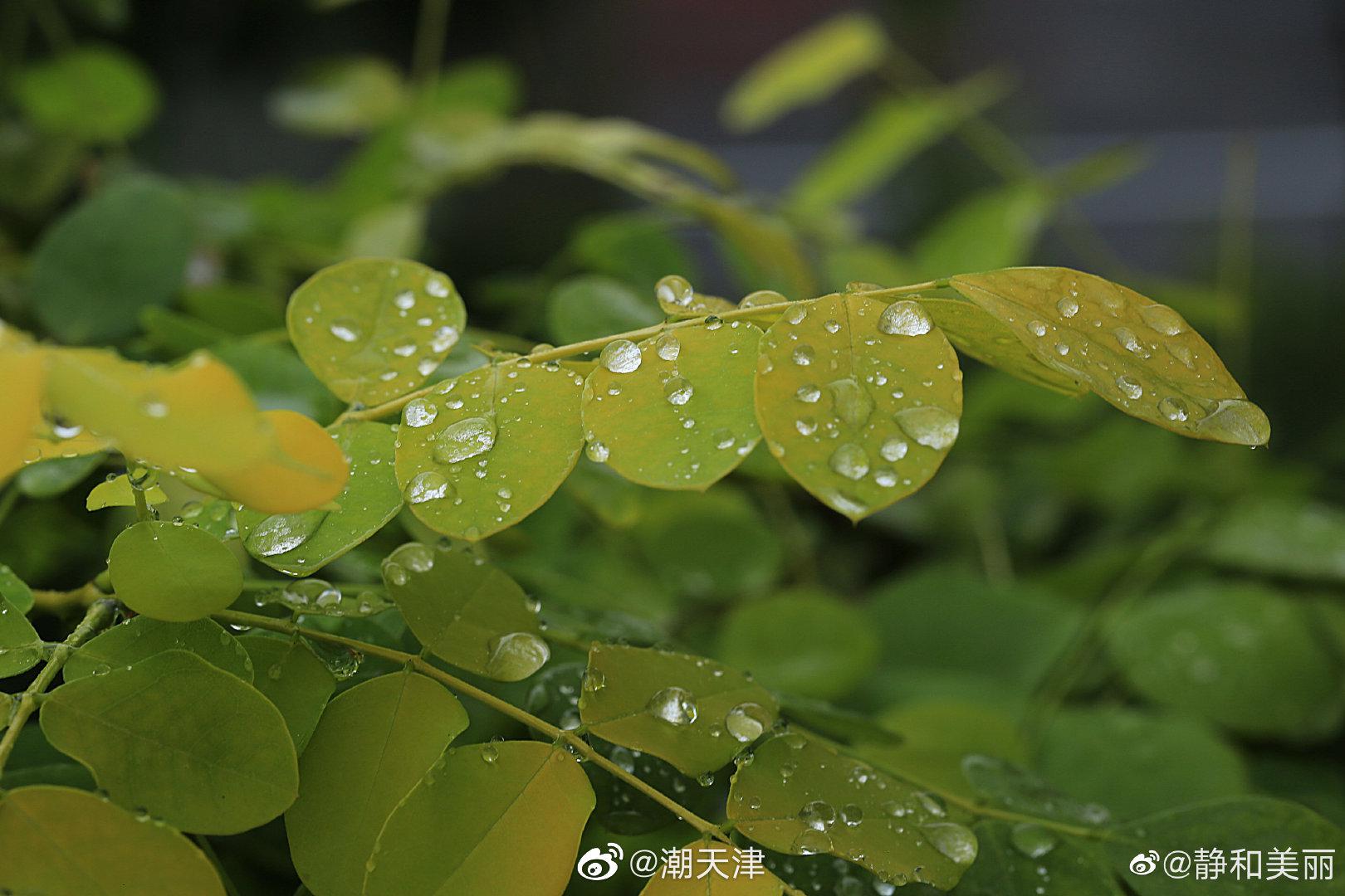 雨后景色(by@静和美丽 )