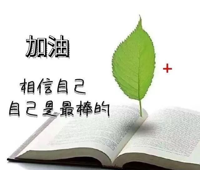 传递青春正能量积极向上的金句充满阳光的励志语句