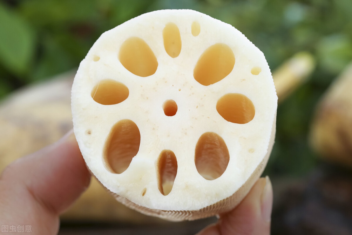 同样是莲藕七孔的和九孔的有什么区别别买错了不然不好吃