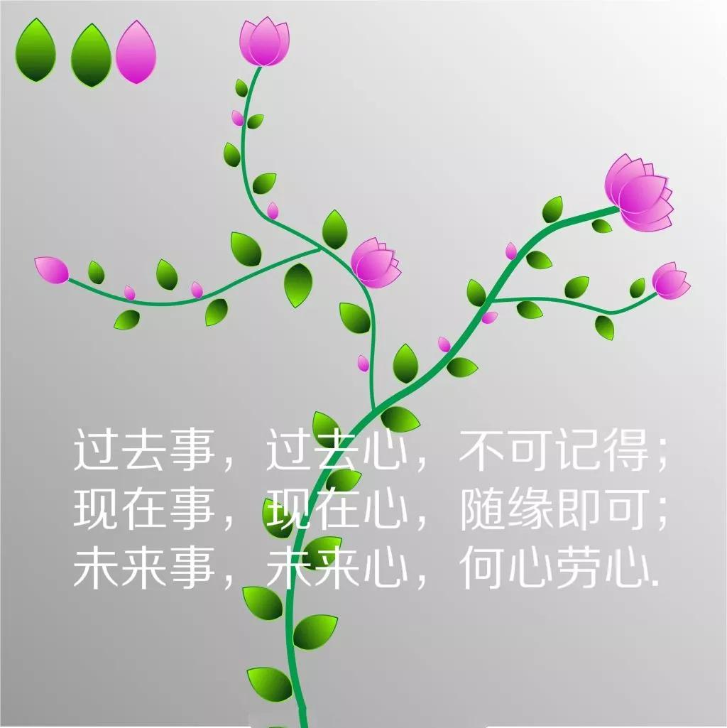 发朋友圈最精辟的人生哲理语录感悟人生的经典语句