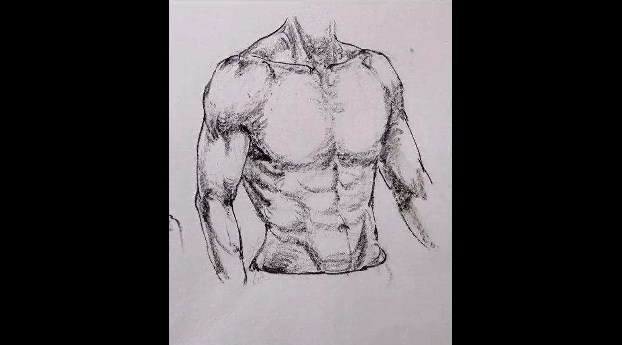 陌客老师速写男性躯干,人体张力十足