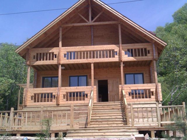 为什么美国很多房子是用木头建的,而不用石砖建呢?|房子|房屋|人口_新