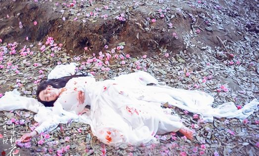 白浅是杨幂在《三生三世》中所扮演的角色,当时,她跳下界后,不仅脸,腿