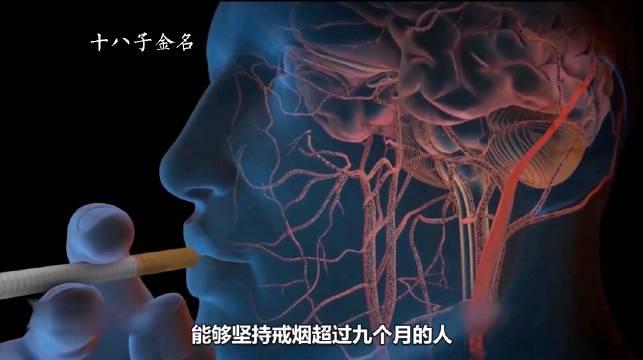 3分钟可以让你彻底了解戒烟后身体会出现的各种变化!