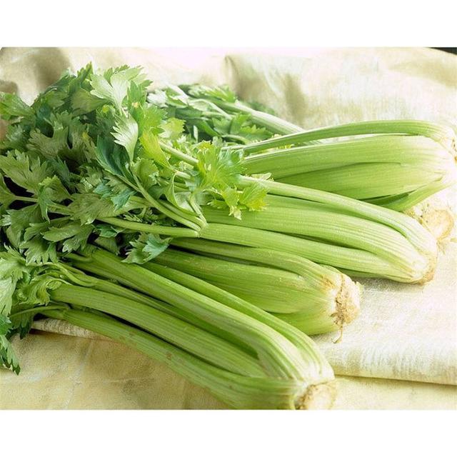 每天准备四种食物,有助消化,清理体内垃圾|西芹|芹菜|食物_新浪新闻