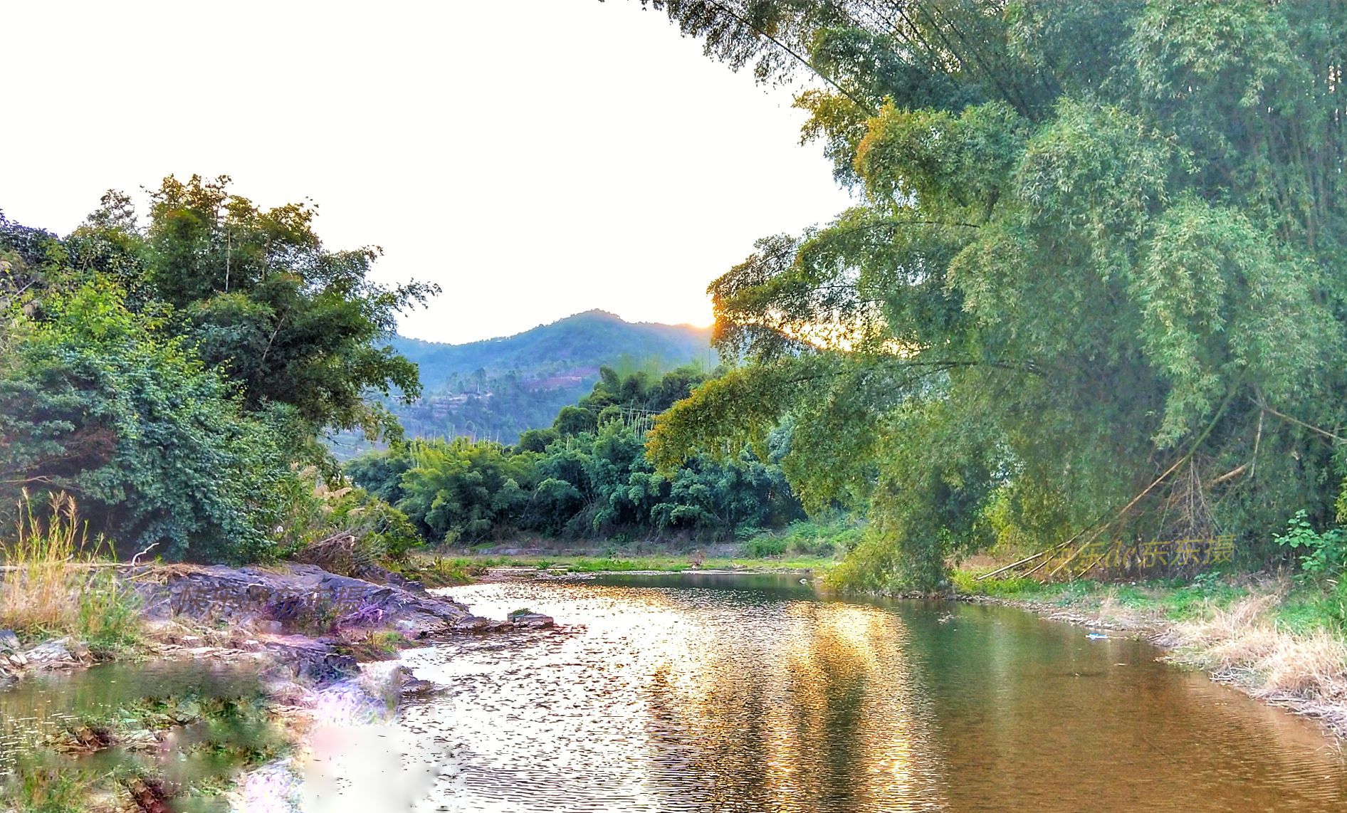 忘不掉松源河畔的竹林,还有童年的记忆,看不尽今天松林村的美景