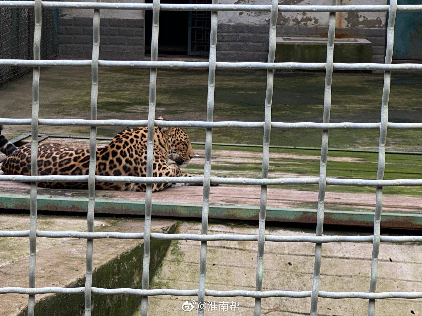 龙湖公园|动物园|淮南_新浪新闻