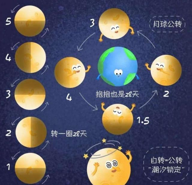 月球|自转|卫星_新浪新闻