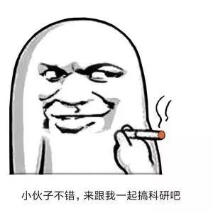 东莞十八式为何频遭吐槽_揭秘3大尴尬根源与避坑指南