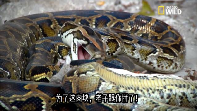 为您推荐: 十一长假堵车大戏已提前上演 早早出门却被堵在路上 网友