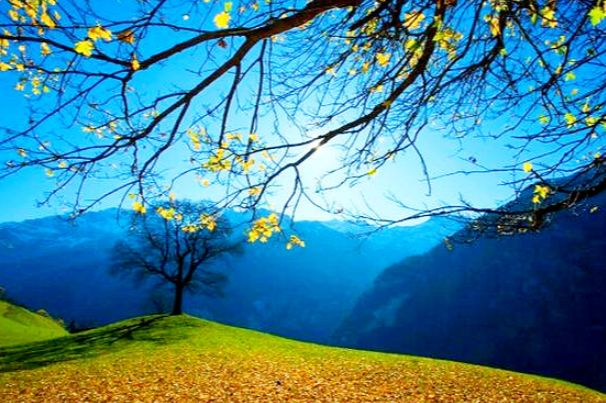 心理学:哪处风景最迷人,测出你有什么好运连续不断的奔来|平安|好运