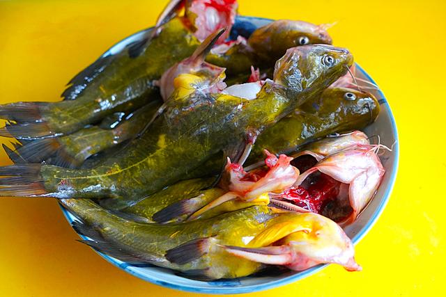 秋天,吃这鱼正是时候,和平菇一起炖,汤可不要太鲜美哟