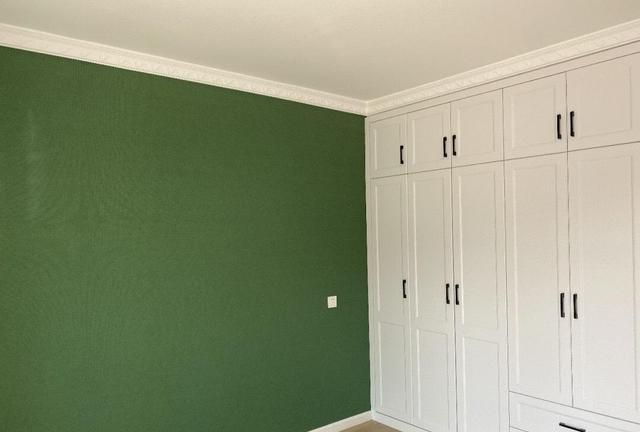 主卧床头背景墙刷了绿色乳胶漆,效果真心漂亮,定制了衣柜直接到顶,没