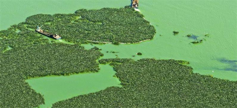 藻类大量爆发的滇池滇池是如何进行深度除磷的?